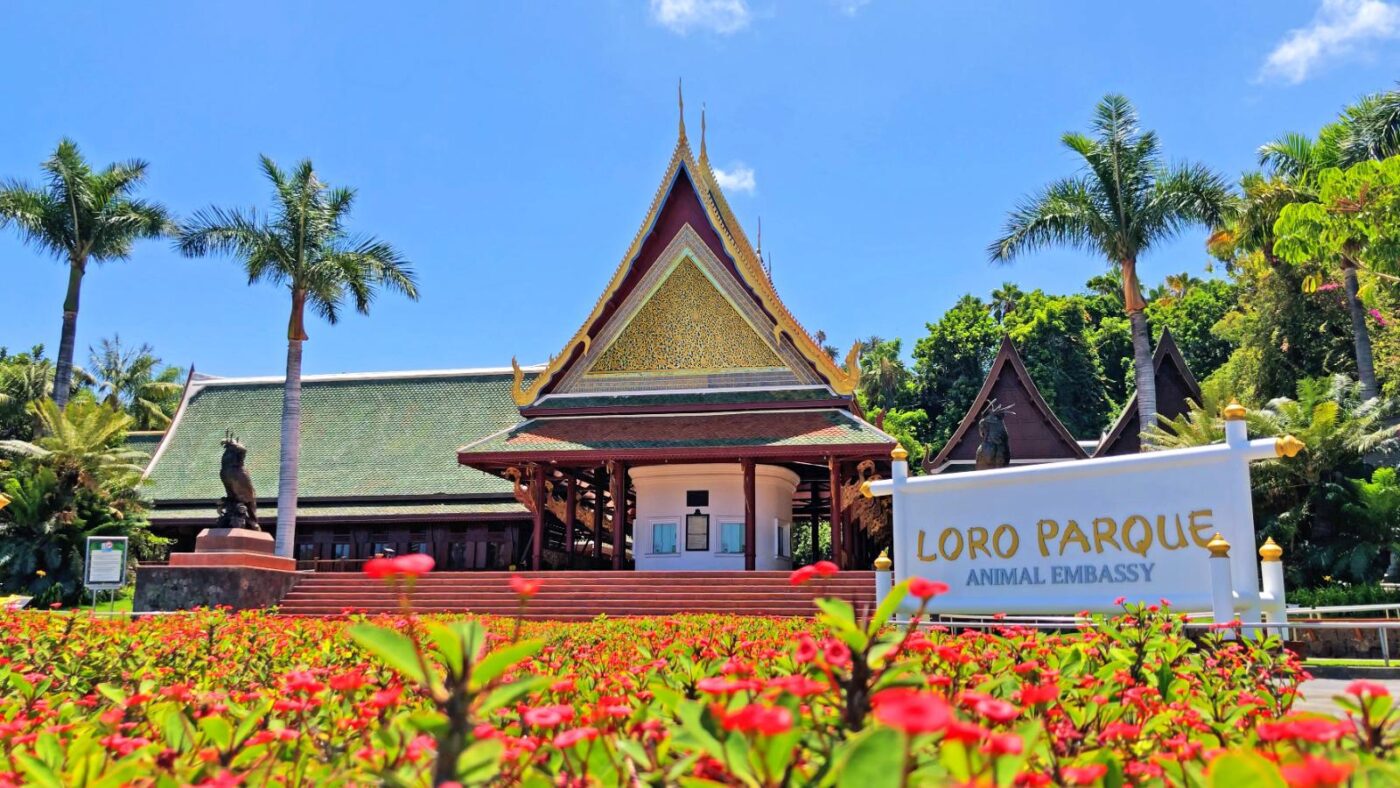 Loro parque pueblo thai