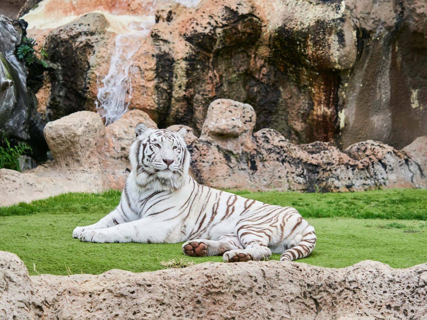 Tenerife zoo