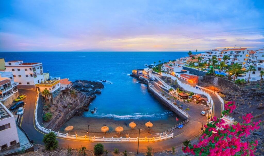 boat trips from puerto de santiago tenerife