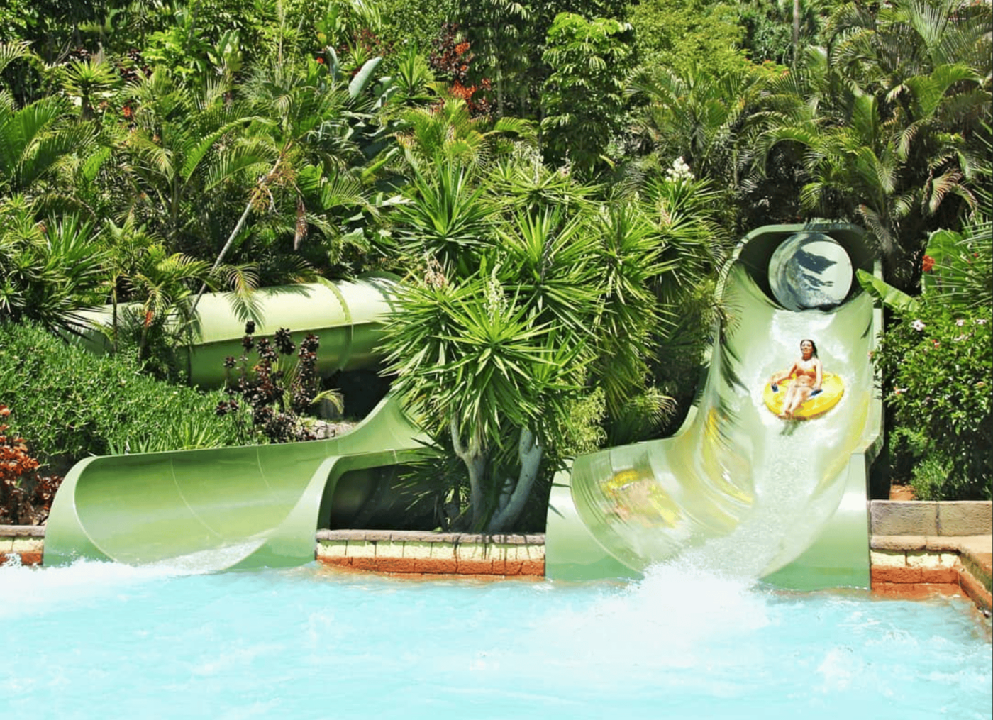 Siam park jungle snake