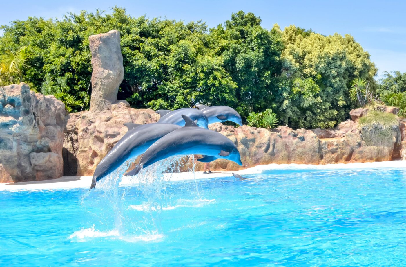 Aqualand Tenerife