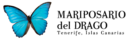 Mariposario del drago logo