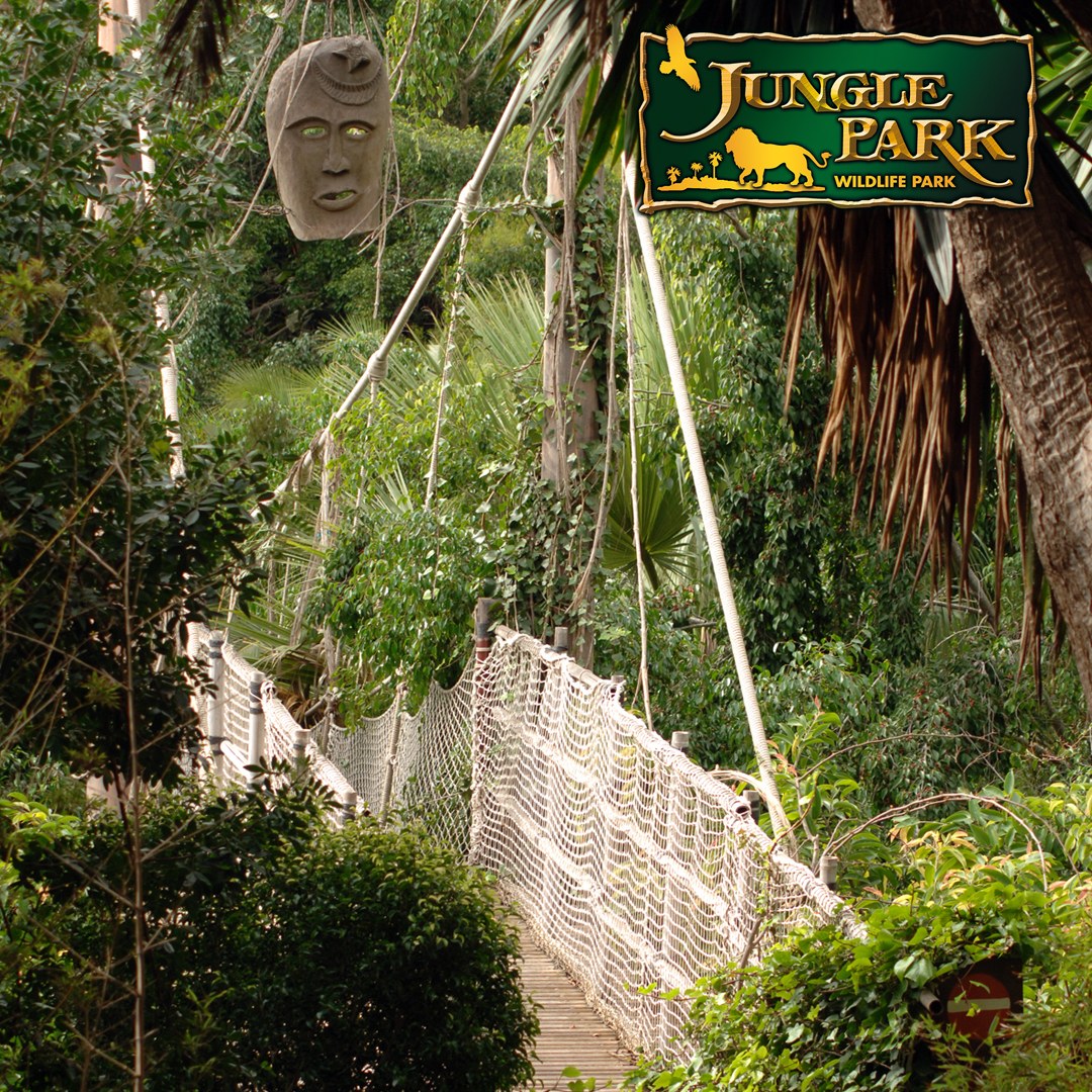 Jungle Park, Jungle raid