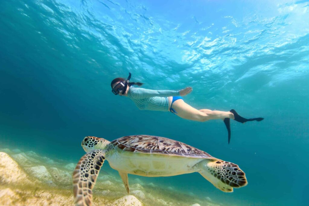 Snorkeling avec les tortues
