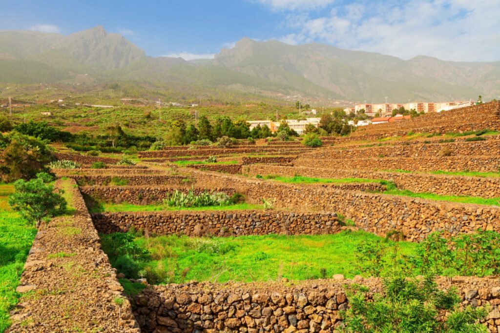 Pyramides de Guimar